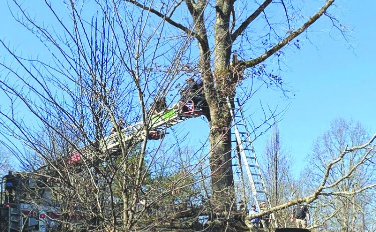 Habersham County photo/Rob Moore. Utilizing a ladder truck, crews from Habersham County Emergency Services work to free an injured Rabun Gap man from a tree in Montego Bay in Clarkesville, Ga. Feb. 6. The man died the next day as a result of injuries sustained. 