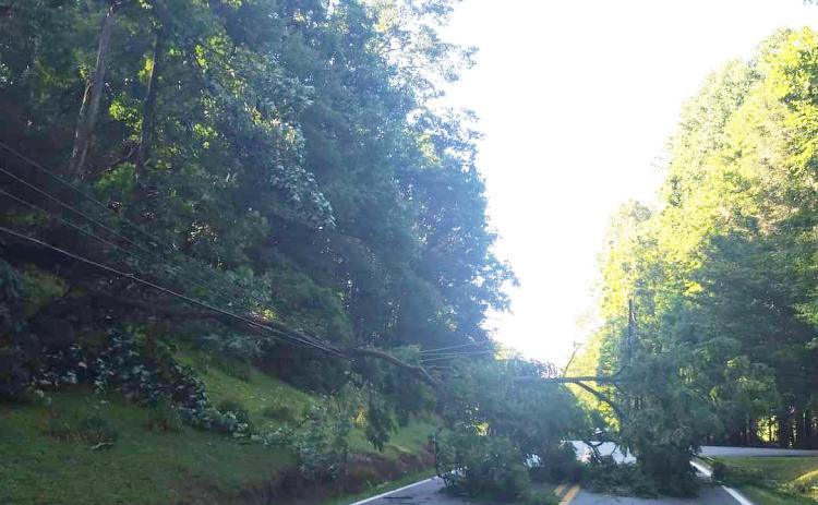 Submitted photo. With a tree down on power line on  Bald Mountain Road on June 25 between Sky High and Rebel Circle. No power or internet was accessible at Sky Valley City Hall as the road was completely blocked. Georgia Power was notified and Evergreen was used as an alternative route. Rabun County residents were among the 315,000 customers affected by power outages.