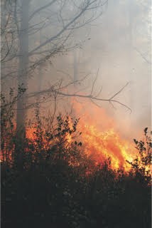 State forestry officials say drought conditions continue in Rabun County and urge anyone who wishes to do outdoor burning to use caution. 