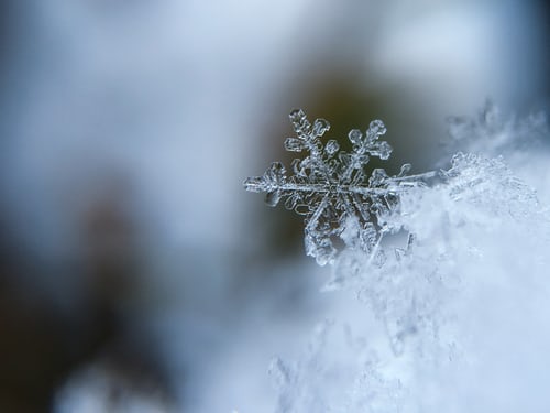 Snow. 