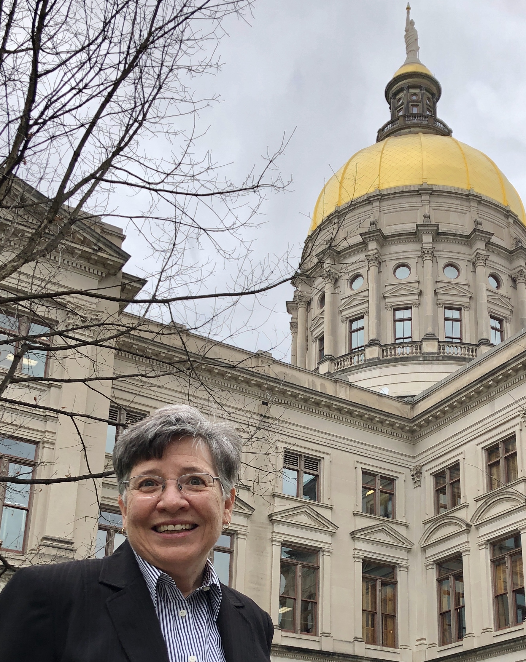 Clayton resident Dee Daily, a Democrat, announced this week she has qualified for the 50th District State Senate seat.