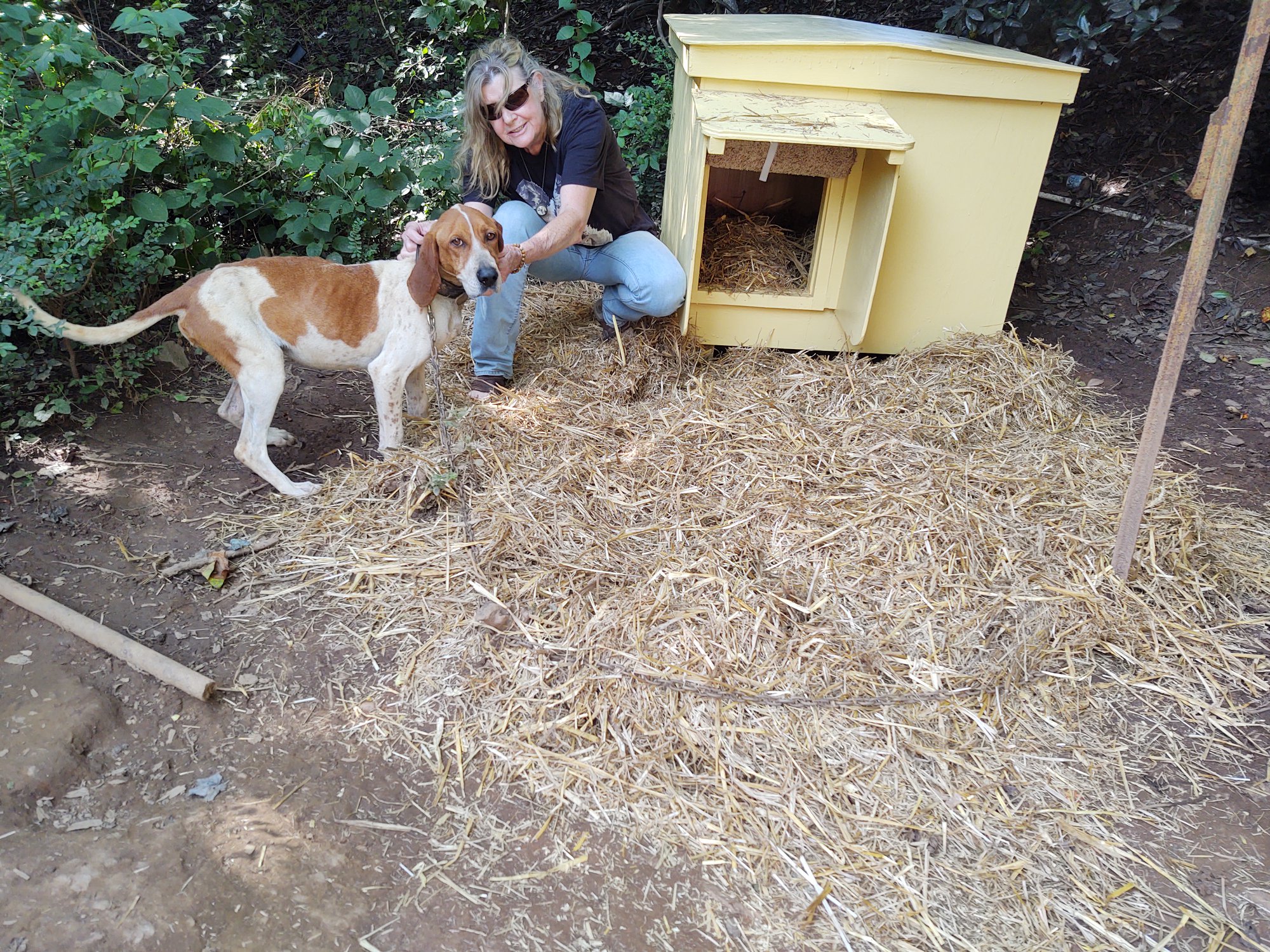 Photo courtesy Ervin Leonard. Brenda Nash, founder of Habitat for Hounds, poses with one of the dogs that the organization provided with a dog house. 