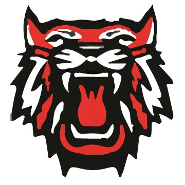 Rabun County Wildcats 