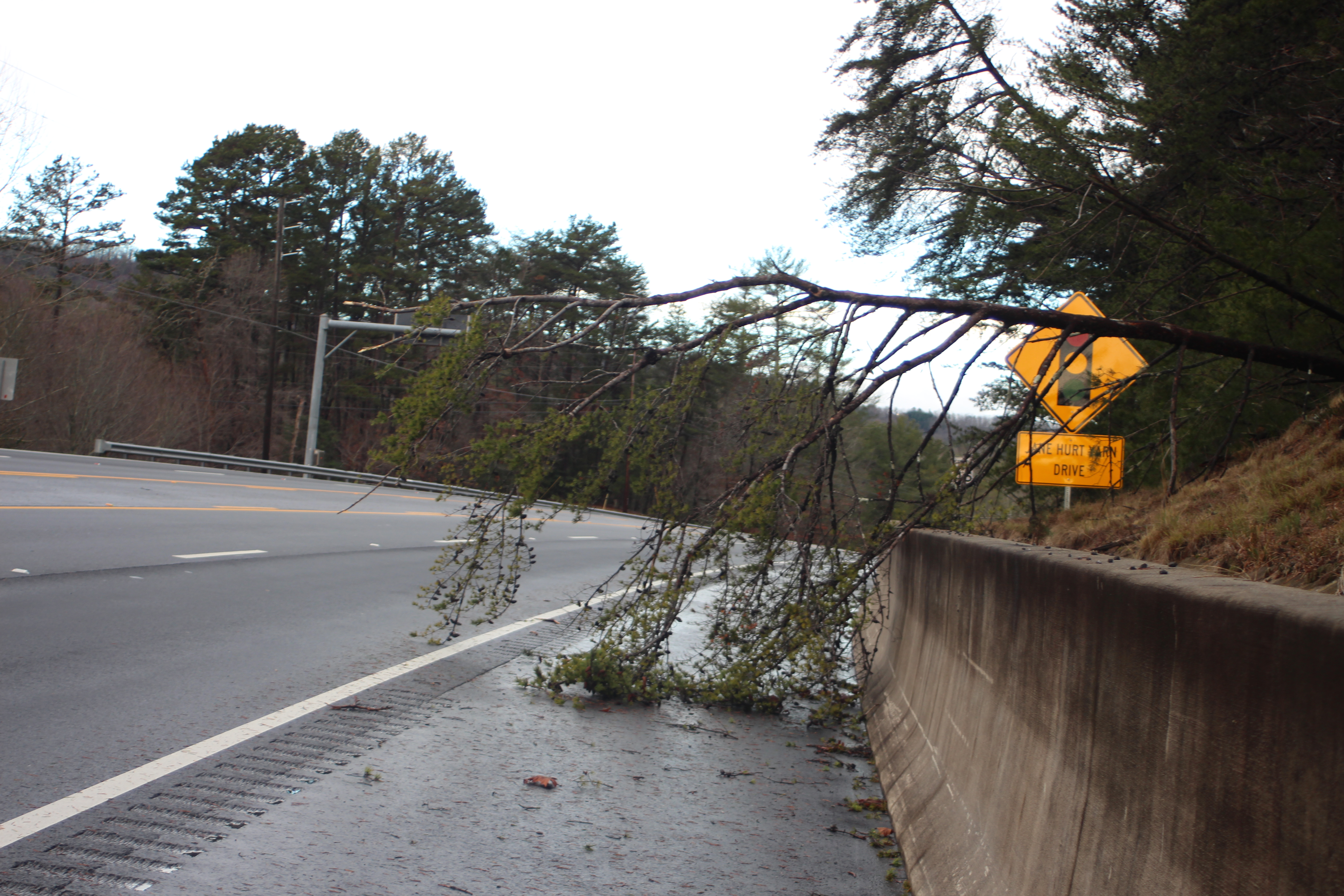 Megan Broome/The Clayton Tribune. A tree limb down at Jane Hurt Yarn Dr. in Tallulah Falls.