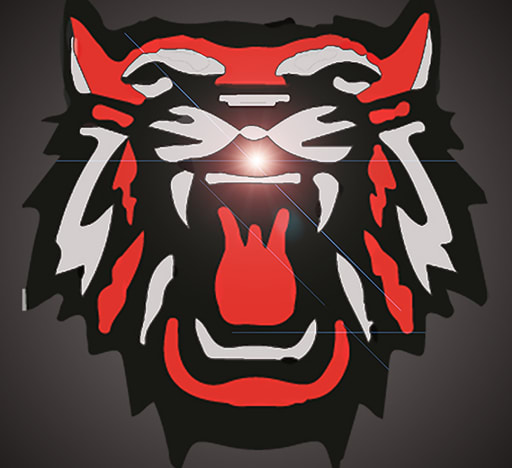 Rabun County Wildcats