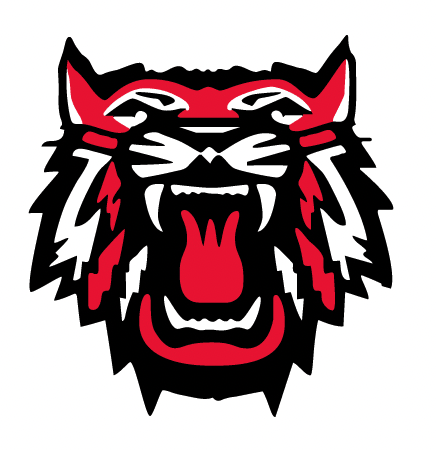 Rabun County Wildcats 