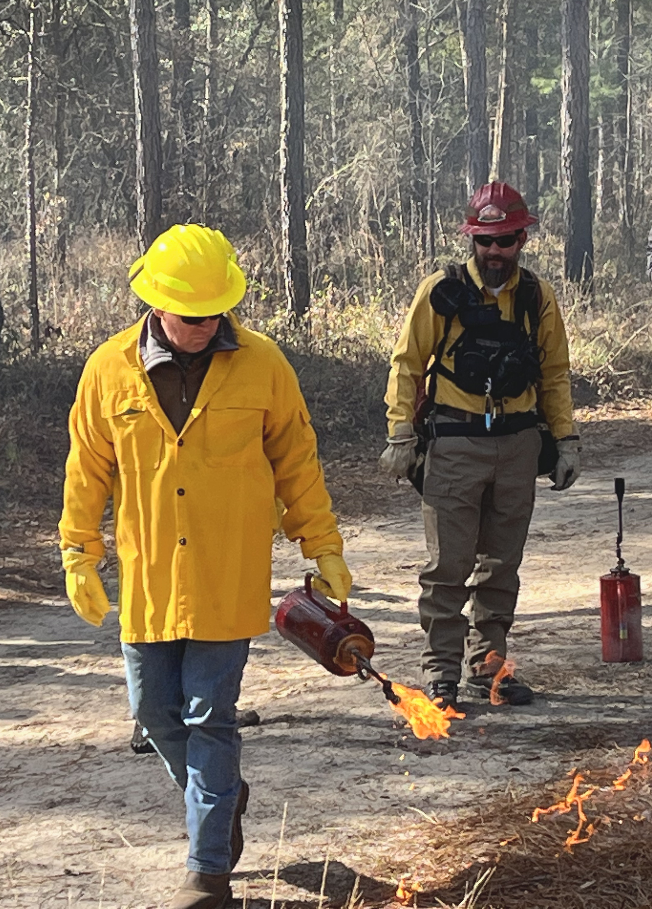 Photo courtesy Jason Lee/DNR. Georgia Gov. Brian Kemp uses a drip torch during a demo prescribed burn at Georgia DNR’s 2023 Weekend for Wildlife fundraiser. Kemp declared Feb. 5-11 “Prescribed Fire Awareness Week.”