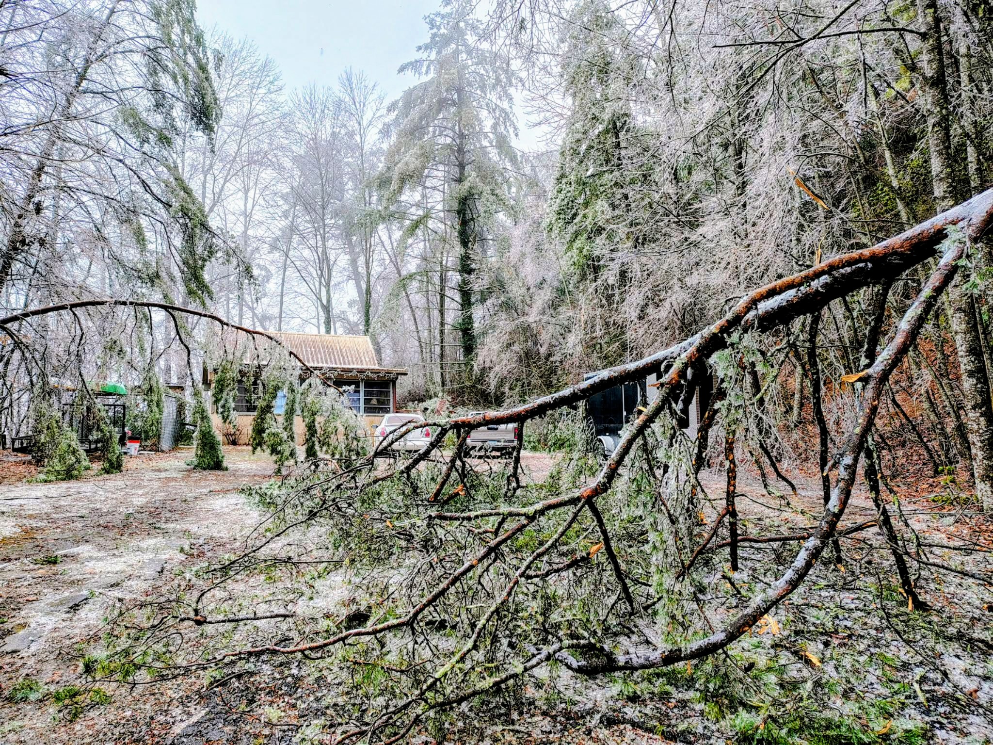 Cold spurn of Storm Fern smacks Rabun | The Clayton Tribune, Rabun ...
