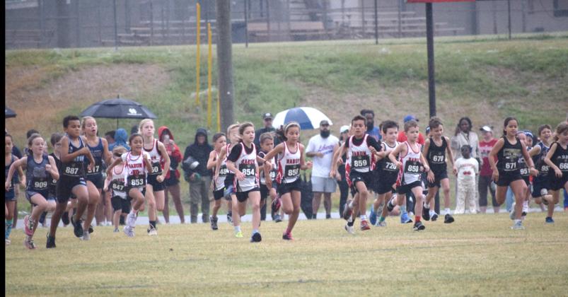 Submitted. 8U runners start their race at the GRPA State Cross Country Championship on Oct. 3 in Jefferson, Ga. 