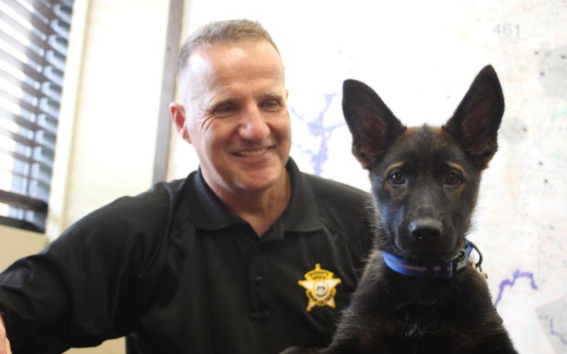 K9