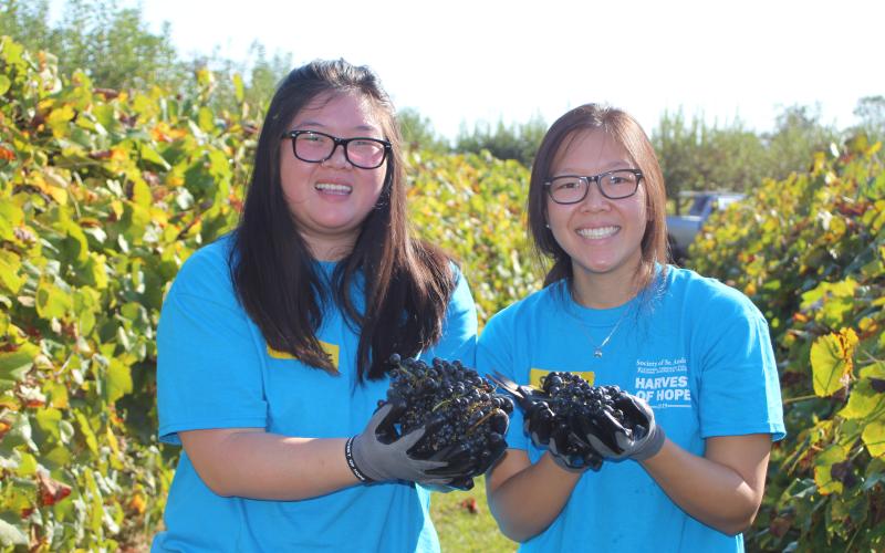 Megan Broome/The Clayton Tribune. Stephanie Chan, left, and Sharon Chan pick grape clusters in Tiger last Saturday to donate to the Food Bank of Northeast Georgia as part of the Society of St. Andrew Harvest of Hope retreat. A group of 25 people stayed at the Pinnacle Retreat Center in Clayton for a faith-based, immersive experience into hunger.