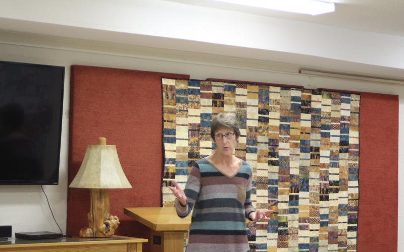 Marie Dunkle, board president of Ga. ForestWatch, makes a point at last week's meeting.