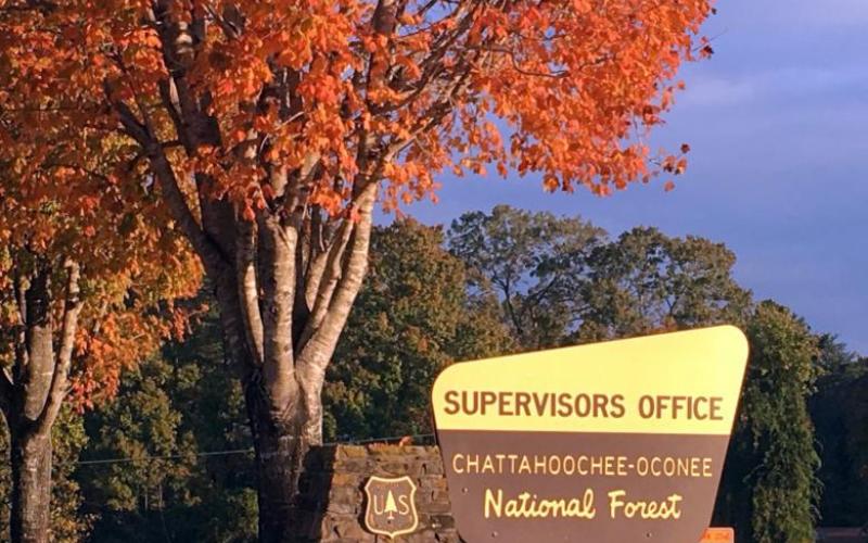 Chattahoochee-Oconee National Forest
