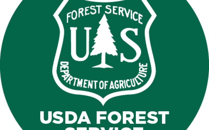 national forest service