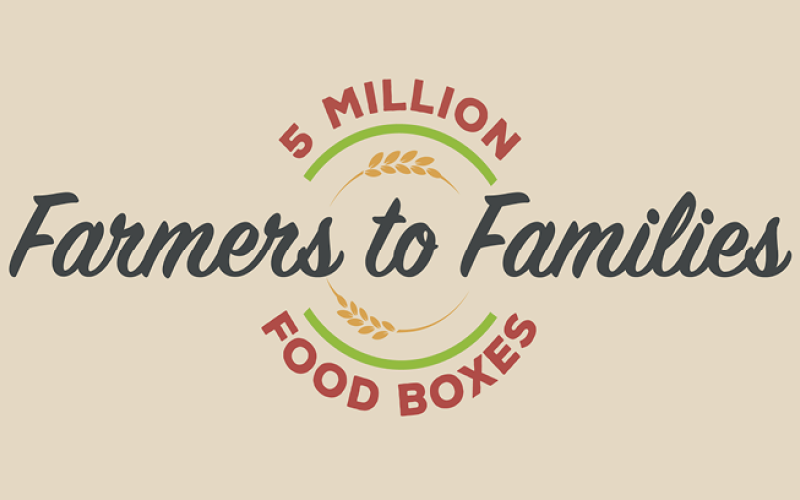 Rotary to distribute free food boxes