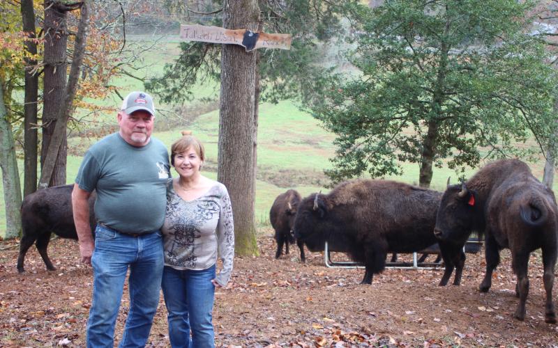 Megan Broome/The Clayton Tribune. Mary Serra and Mike English own nine bison that roam on a 48-acre farm off of Persimmon Rd. Serra named it Tallulah Bison Ranch. Eight of the bison came from Montana and Minnesota. Serra said that owning a herd of bison is something she wanted to check off of her bucket list in her life.