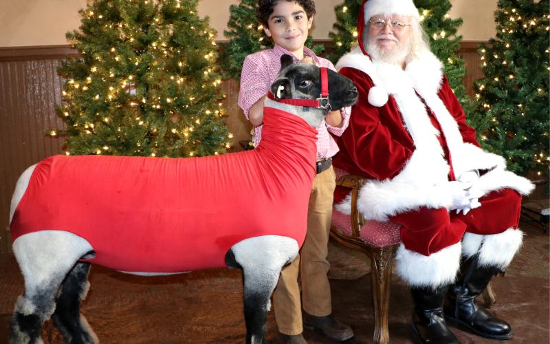 Photo courtesy Pamela Martin of Casablanca Photography. Stetson Branch takes his Ewe named Snowflake to visit Santa at the Merry Market and Fundraising Jolly in Clayton last weekend.