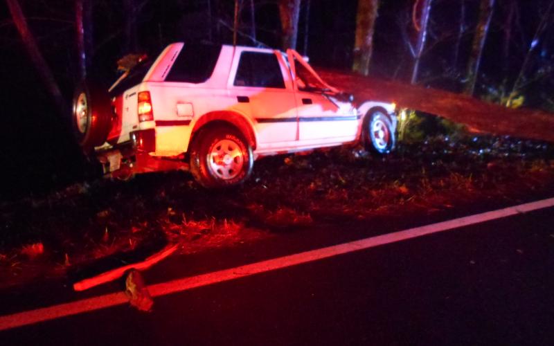 Photos from Georgia State Patrol. A 38-year-old Lakemont man died after striking a fallen tree in a one-vehicle accident on Old Ga. 15 on Feb. 15 in Tiger.