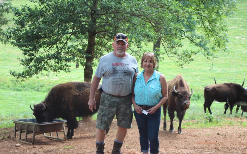Megan Broome/The Clayton Tribune. Mike English, left, and Mary Serra are still searching for five of their missing bison after the herd wandered off of Tallulah Bison Ranch, a 48-acre farm located on Dandelion Ln. off of Persimmon Rd., on June 13. The couple has nine bison and are asking for help to locate the missing animals.