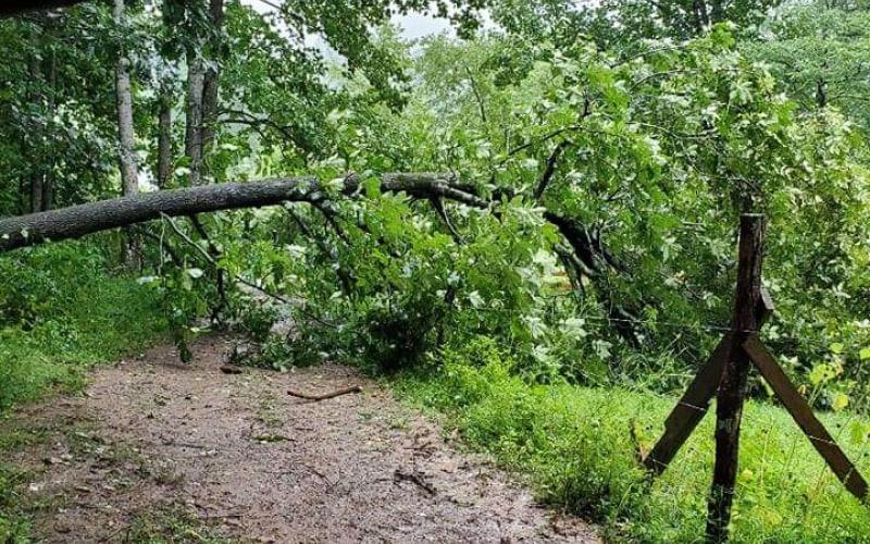 Photo courtesy of Melissa White. A fallen tree on Cecil Cannon Rd. in Rabun Gap Tuesday was part of the aftermath caused by Tropical Storm Fred. The storm brought strong winds, flash flooding and some downed trees throughout Rabun County.