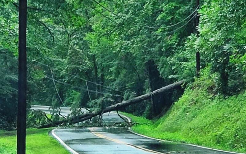 Photo courtesy of Amanda Noffsinger. A fallen tree on Warwoman Rd. near Willis Knob Rd. Tuesday was part of the aftermath caused by Tropical Storm Fred. The storm brought strong winds, flash flooding and some downed trees throughout Rabun County.