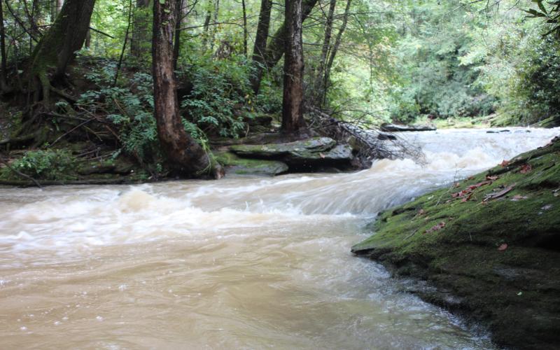 Photo courtesy of Conner Horn. A view of Stekoa Creek off of Rickman Airfield Road just outside of the Clayton city limits.