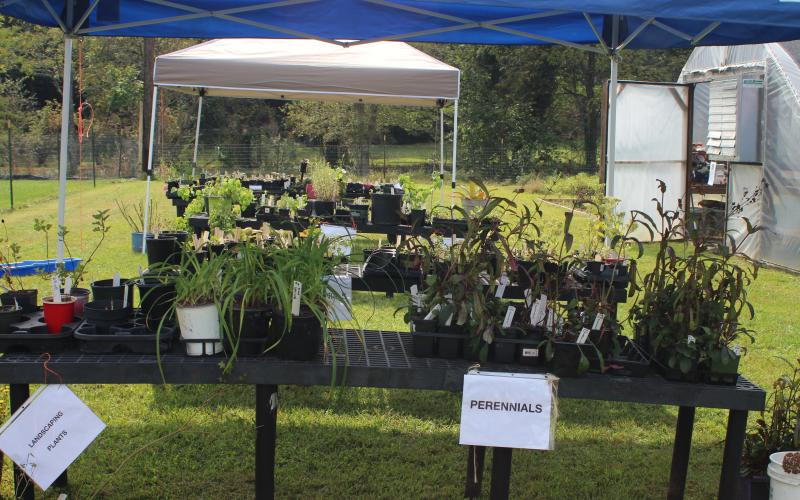 Megan Broome/The Clayton Tribune. The Old School Garden held its fall plant sale last Saturday. The sale included perennial and native plants, hand-crafted scarecrows, pumpkins, tools, and other garden items.