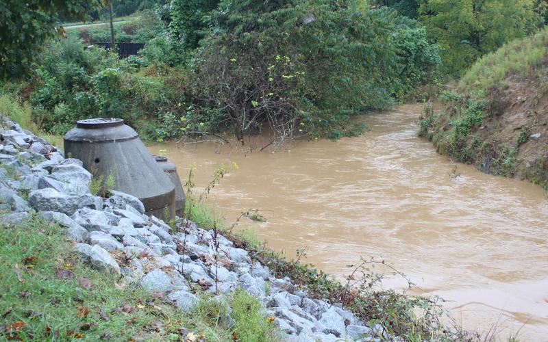 Megan Broome/The Clayton Tribune. A view of Stekoa Creek from Duvall Street in Clayton. The riparian buffer zone is 50 feet on either side of the creek, as mandated by the state of Georgia, for trout streams.