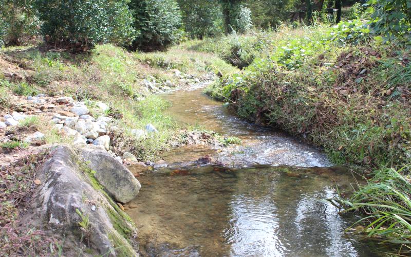 Megan Broome/The Clayton Tribune. A view of Scott Creek, an impaired tributary to Stekoa Creek, behind Clayton Municipal Complex. Once in Clayton, Scott Creek flows behind the Clayton Municipal Complex and is bordered by a field that is designed as a greenway zone and disc golf area. The Clayton Municipal Complex sits in the Scott Creek floodplain.
