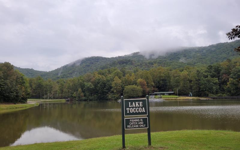 Megan Broome/The Clayton Tribune. She Creek starts on the northwestern flank of Rainy Ridge and flows downstream to enter Lake Toccoa, which is used as an amenity of the Rainy Mountain Boy Scout Camp for swimming and other recreational purposes.