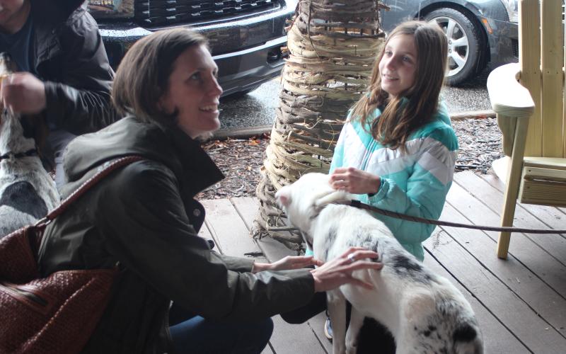 Megan Broome/The Clayton Tribune. Kiana and Lia Miles pet Casper, one of the featured dogs up for adoption at Paws, at the Art Sale and Clothing Rummage set up by Gallery 441 and Tallulah Gorgeous in Dillard to raise money for Paws 4 Life.
