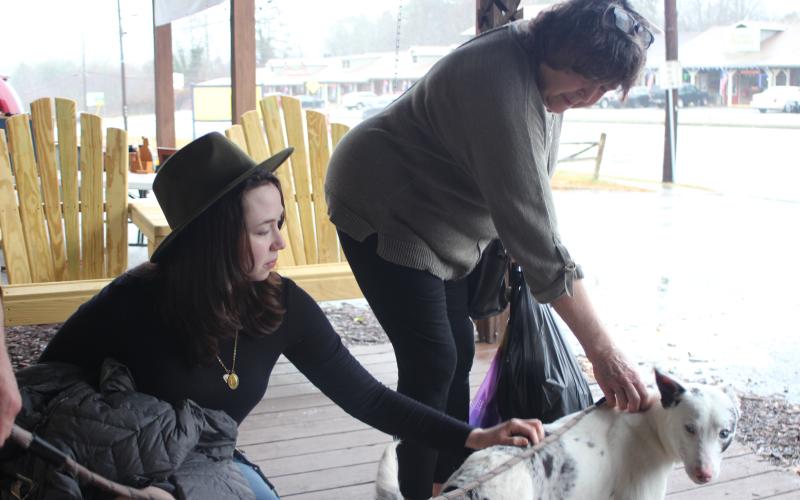 Megan Broome/The Clayton Tribune. Jenifer Kulow and Susan Kulow pet and play with Casper, one of the featured dogs up for adoption at Paws 4 Life, at the Art Sale and Clothing Rummage set up by Gallery 441 and Tallulah Gorgeous in Dillard to raise money for Paws 4 Life.