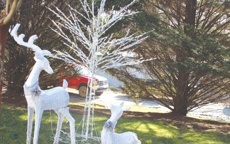 Megan Broome/The Clayton Tribune. Christmas trees similar to this one were stolen from the Christmas Village of Lights display in Tiger overnight last Thursday. Also damaged were a control box and extension cords. The trees weighed about 30 pounds each and two white and two multi-color were stolen. About $1,200 worth of damage was done.