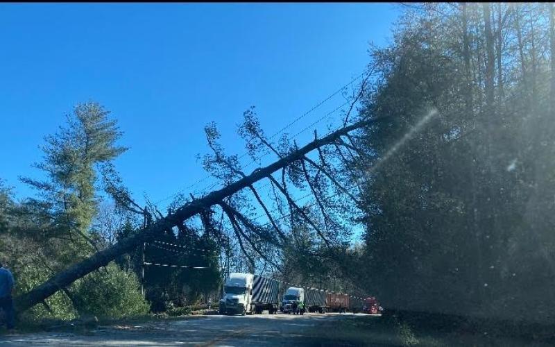 Photo courtesy of Jenifer Kulow. Megan Broome/The Clayton Tribune. Highway 76  East was shut down for six hours due to trees and power lines being down following Monday's overnight storm.