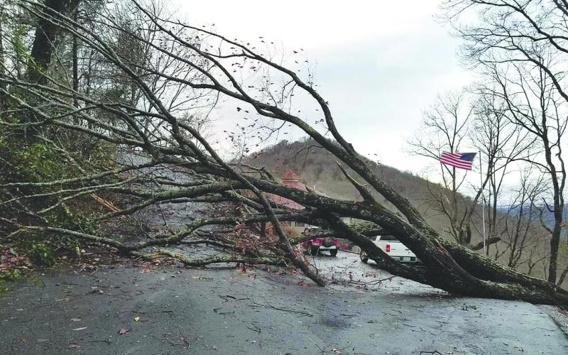 Photo courtesy of Patrick Gillilan. Overnight storms and extreme wind gusts resulted in a fallen tree at a Screamer Drive home in Clayton Monday. Heavy storms and extreme wind gusts overnight Sunday brought downed trees, power outages, tree limbs and debris scattered across Rabun County and surrounding counties.