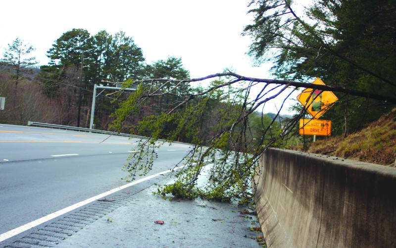 Megan Broome/The Clayton Tribune. A fallen tree branch impedes the roadway at Jane Hurt Yarn Drive in Tallulah Falls Monday morning. Heavy storms and extreme wind gusts overnight Sunday brought downed trees, power outages, tree limbs and debris scattered across Rabun County and surrounding counties.