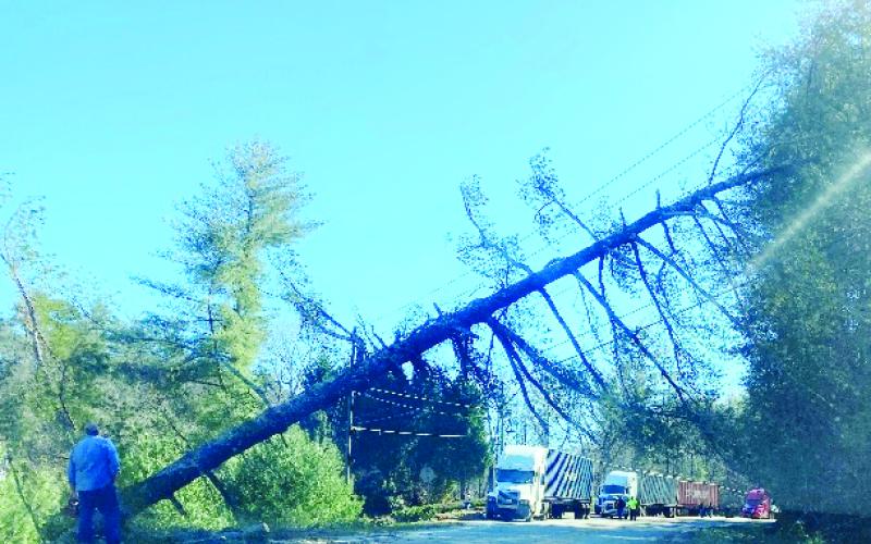 Photo courtesy of Susan Kulow. A fallen tree on Highway 76 East in the Kingwood and Seedtick Rd. area Monday. Portions of Highway 76 East were shut down for several hours Monday while crews worked to clean up the roadway and restore power to the area.