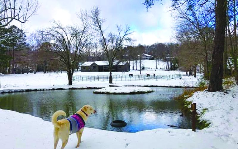 Carmen Cote Gladstein captured this photo of a serene setting in Rabun County.