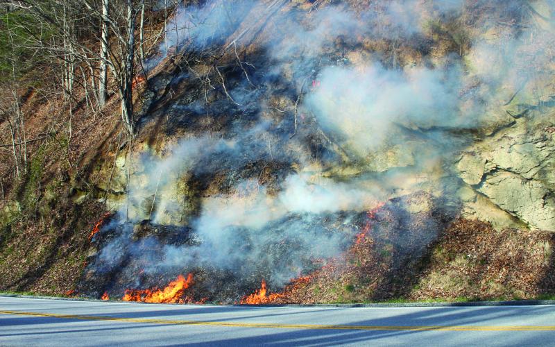 Megan Broome/The Clayton Tribune. The cause has not yet been confirmed for a brush fire that spread on the north side of Highway 246 in Sky Valley on March 4. A separate brush fire started across the state line in North Carolina along the north side of Highway 246 in the area of Chastain Road.