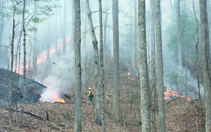 Megan Broome/The Clayton Tribune. A brush fire across the state line in North Carolina along the north side of Highway 246 in the area of Chastain Road March 4 has North Carolina Forest Service and local firefighters working to contain it.