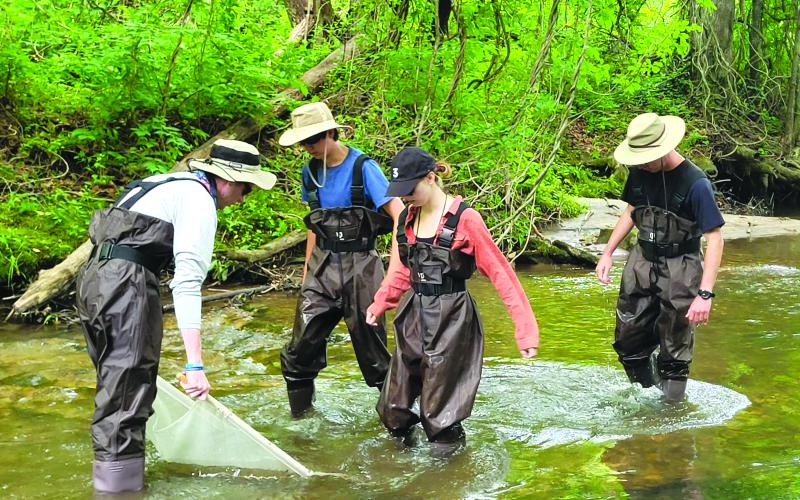 Megan Broome/The Clayton Tribune. Current students and graduates of Western Carolina University use a net to catch insects in Bettys Creek and conduct insect monitoring to determine the health of the stream based on the the health of the insects. Dr. Bill McLarney, aquatic conservation biologist with Mainspring Conservation Trust, also led the group of students through a fish biomonitoring session as part of the Trust’s Stream Biomonitoring Program.