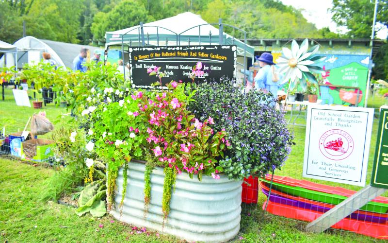 Megan Broome/The Clayton Tribune. The Old School Garden at the Clayton City Hall Complex grounds off of Highway 76 hosts its fall plant sale on Oct. 1 as plenty of healthy and colorful plants were on display.