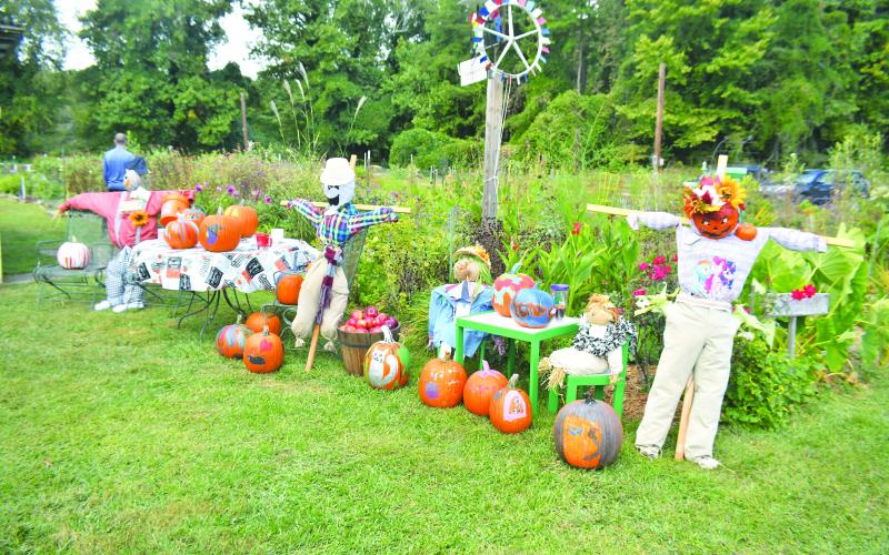 Megan Broome/The Clayton Tribune. The Old School Garden at the Clayton City Hall Complex grounds off of Highway 76 hosts its fall plant sale on Oct. 1 as plenty of healthy and colorful plants were on display.