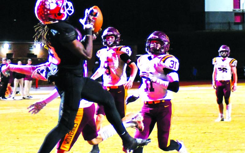 Enoch Autry/The Clayton Tribune. RCHS junior Willie Goodwyn pulls in his second touchdown reception of the game against Dade County in the Wildcats’ 47-7 first-round of the state playoffs.