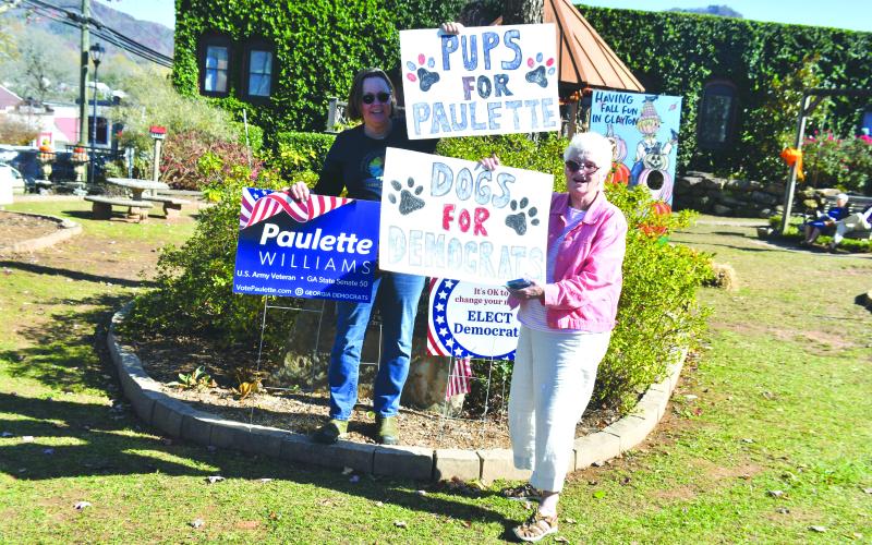 Megan Broome/The Clayton Tribune. Rabun County Democrat Susan Brewer and Georgia State Senate Post 50 Candidate Paulette Williams hold up campaign signs and mingle with voters at Veterans Memorial Park in downtown Clayton Tuesday, Nov. 8.