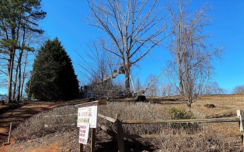 Habersham County photo/Rob Moore. Crews from Habersham County Emergency Services work to free an injured Rabun Gap man  from about 20 feet up in a tree in Clarkesville, Ga. Feb. 6. The man died the next day as a result of injuries sustained.