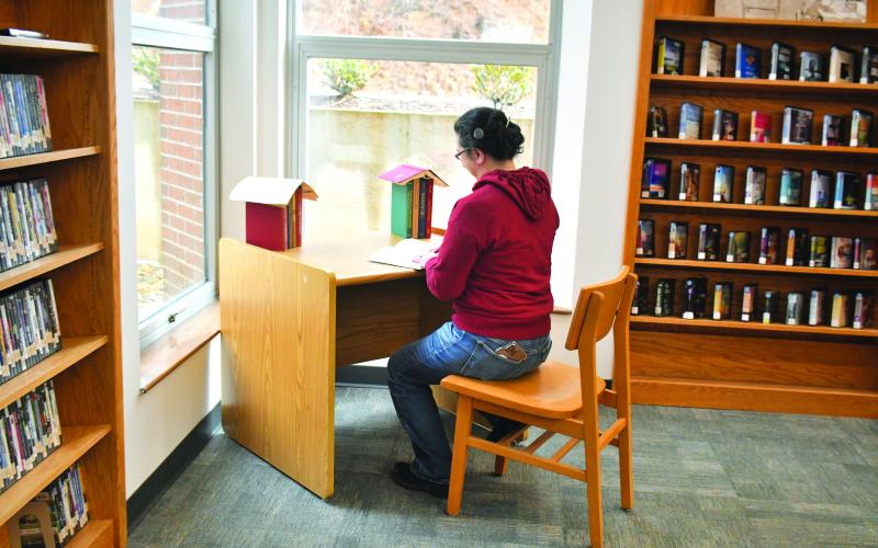 Megan Broome/The Clayton Tribune. Rabun County Public Library Branch Manager Dyana Costello Banks demonstrates one of the new “study nook” areas that will be available to patrons throughout the library when it reopens Feb. 6. These areas are one of the new features offered from renovations made in the library over the past month.