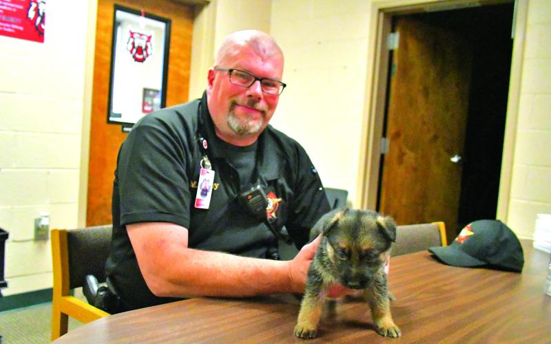Megan Broome/The Clayton Tribune. Rabun County Sheriff’s Office School Resource Deputy Eric McKinney introduces his new partner, 5-week old German Shepherd puppy “Honor,” who soon will be in training at Rabun County Schools. Left photo from Rabun County Schools.