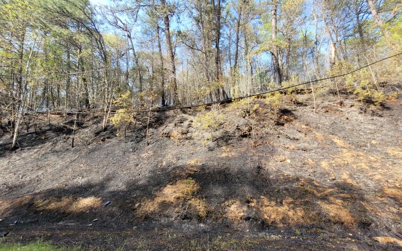 Megan Broome/The Clayton Tribune. Firefighters worked to extinguish a brush fire that began on the shoulder of Bettys Creek Road near Colony Road in Dillard April 19. Mutual aid was requested from Otto, N.C. with Georgia Forestry Commission and U.S. Forest Service also responding. The wildfire burned approximately 9.3 acres.
