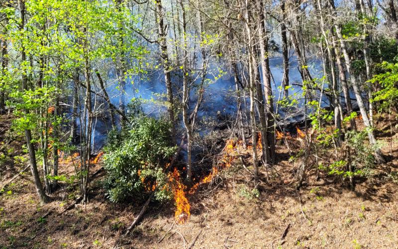 Megan Broome/The Clayton Tribune. Flames could be seen as firefighters worked to extinguish a brush fire that began on the shoulder of Bettys Creek Road near Colony Road in Dillard April 19. Mutual aid was requested from Otto, N.C. with Georgia Forestry Commission and U.S. Forest Service also responding. The wildfire burned approximately 9.3 acres.